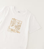 Tshirt ragazzo ido